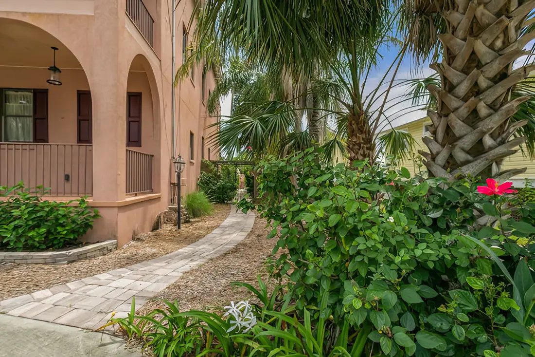 Pathway with tropical foliage